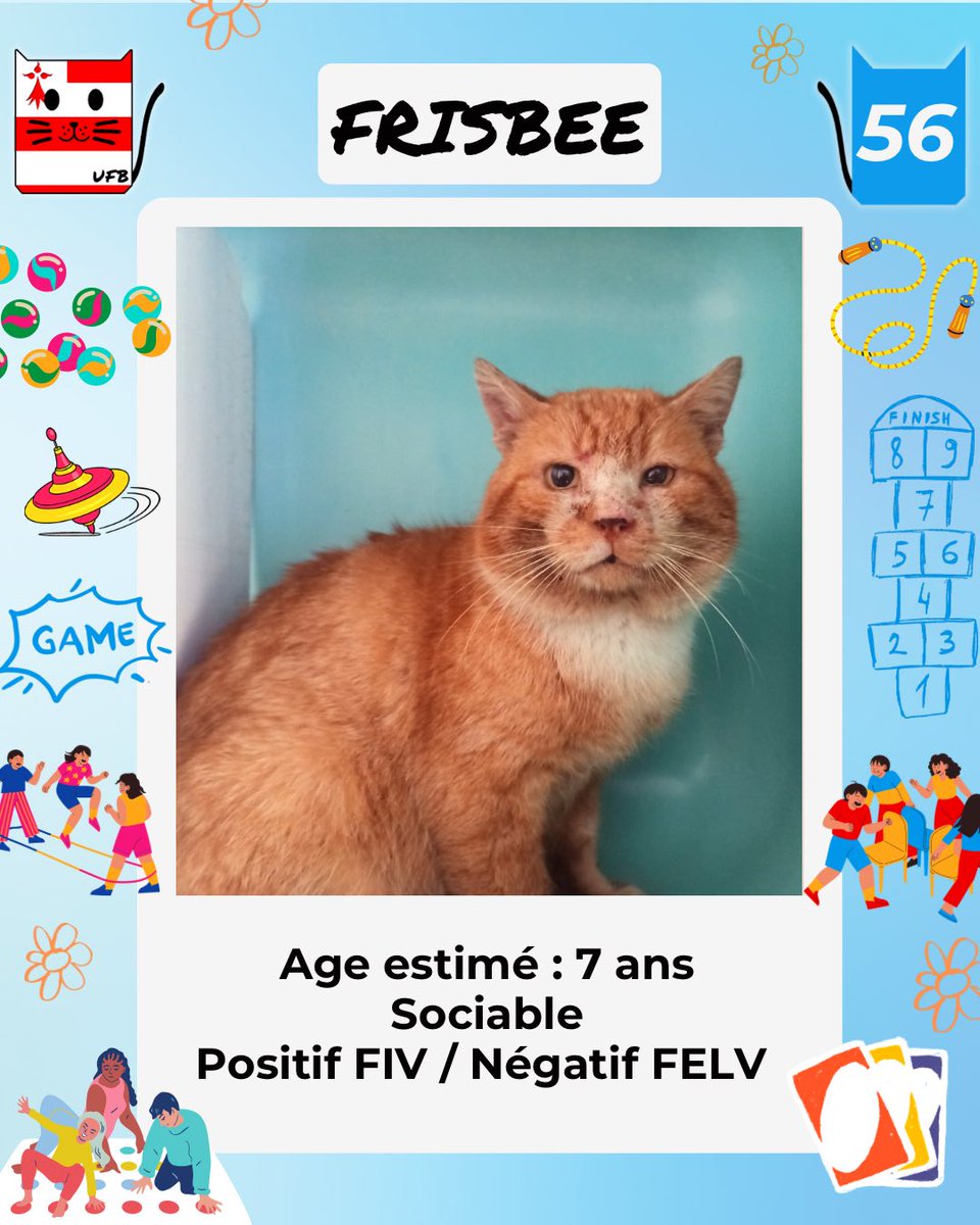 justine44 tweet media