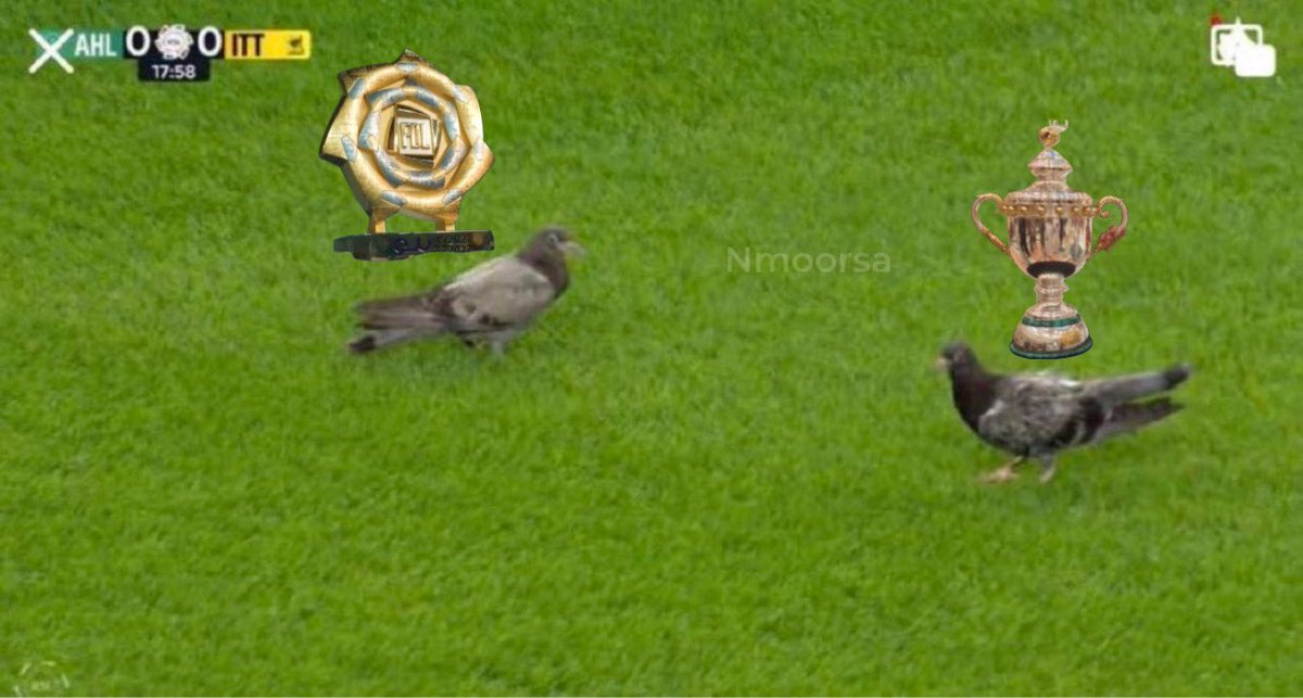 دحمي 🟡 tweet media