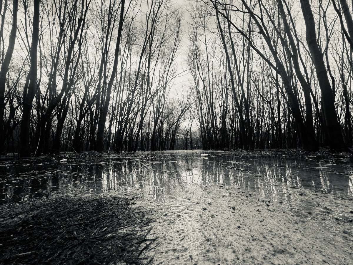 Jeremy Sebolt tweet media