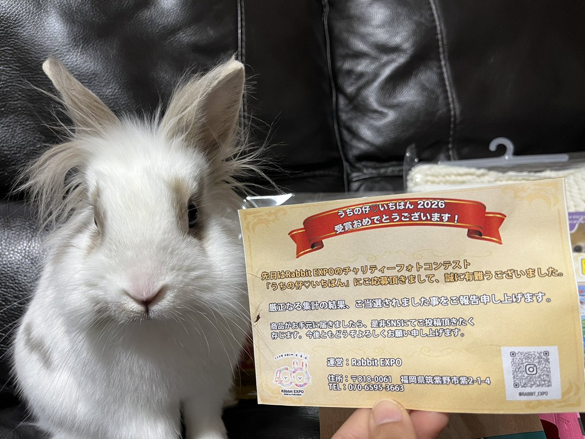 Rabbit_mice's tweet photo. お手紙に読みました印(歯型)つけたのはウメです。 https://t.co/s2TkrUHlvM