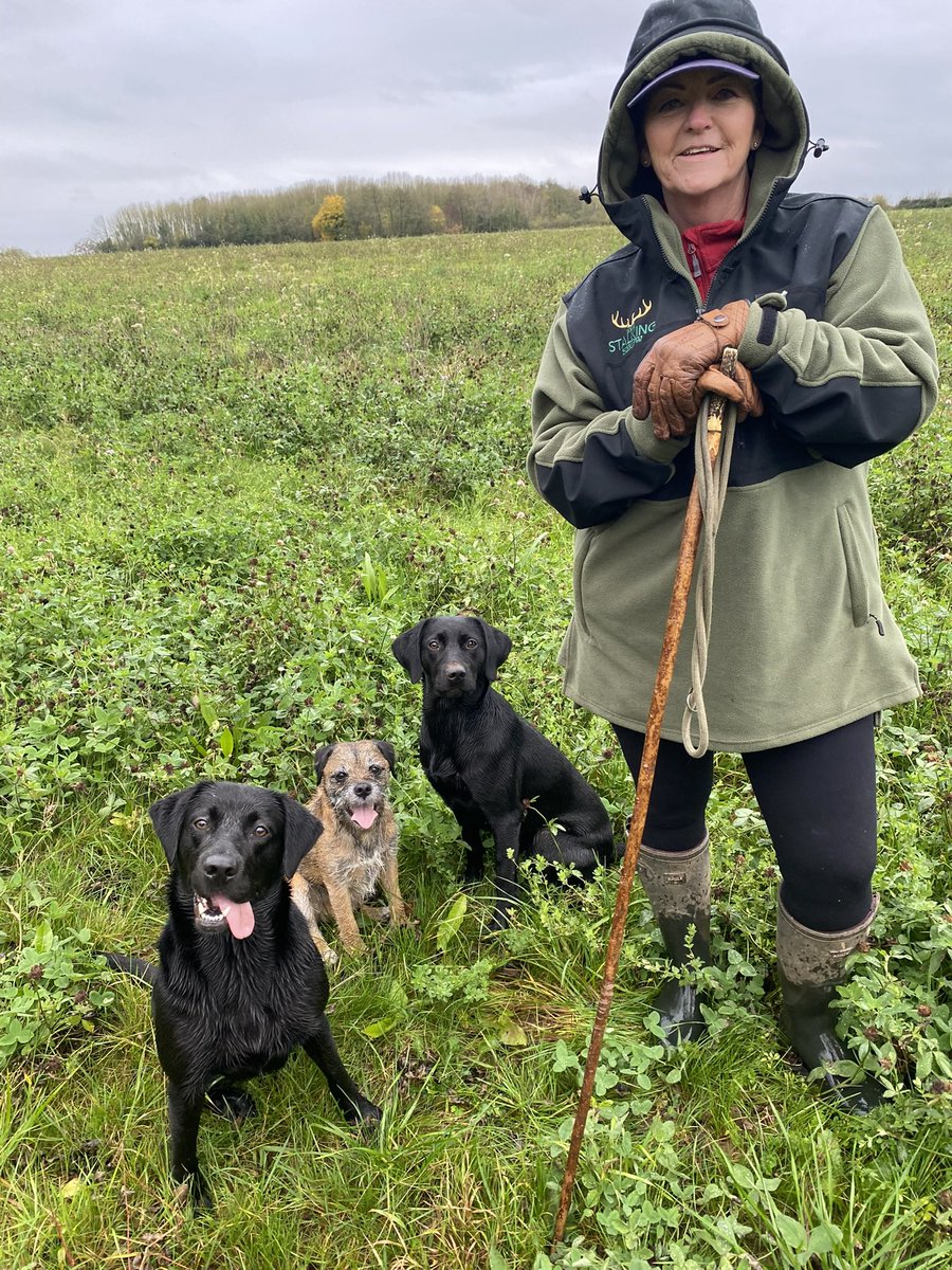 Lady P 🇬🇧 tweet media