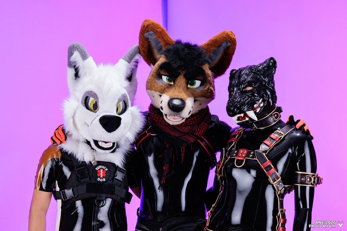 Raven_ArcticFox's tweet photo. #SqueakySaturday with the crew!

@wuketet &amp; @KamOnTheProwl https://t.co/yDGzTQbfSO