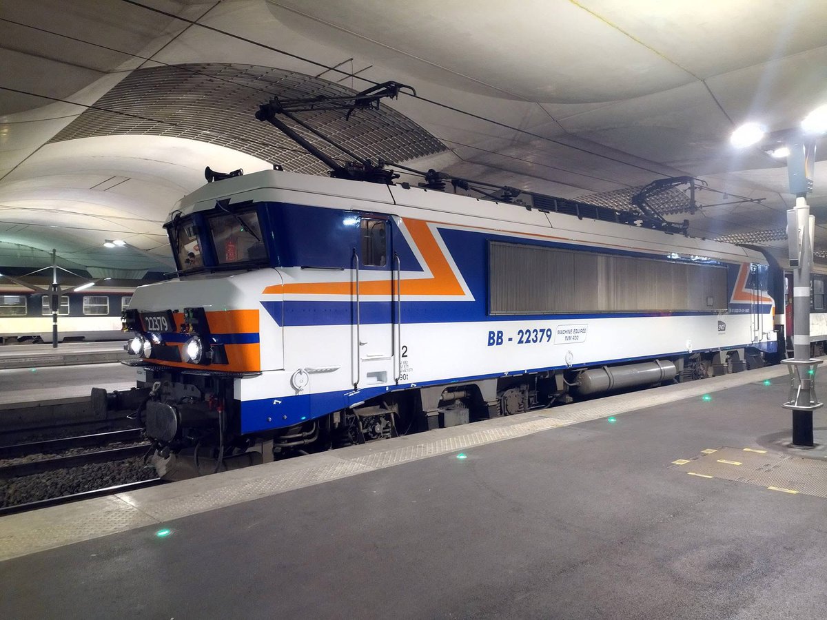 Doudou_TrainDoctor 🛠️⚡️ tweet media