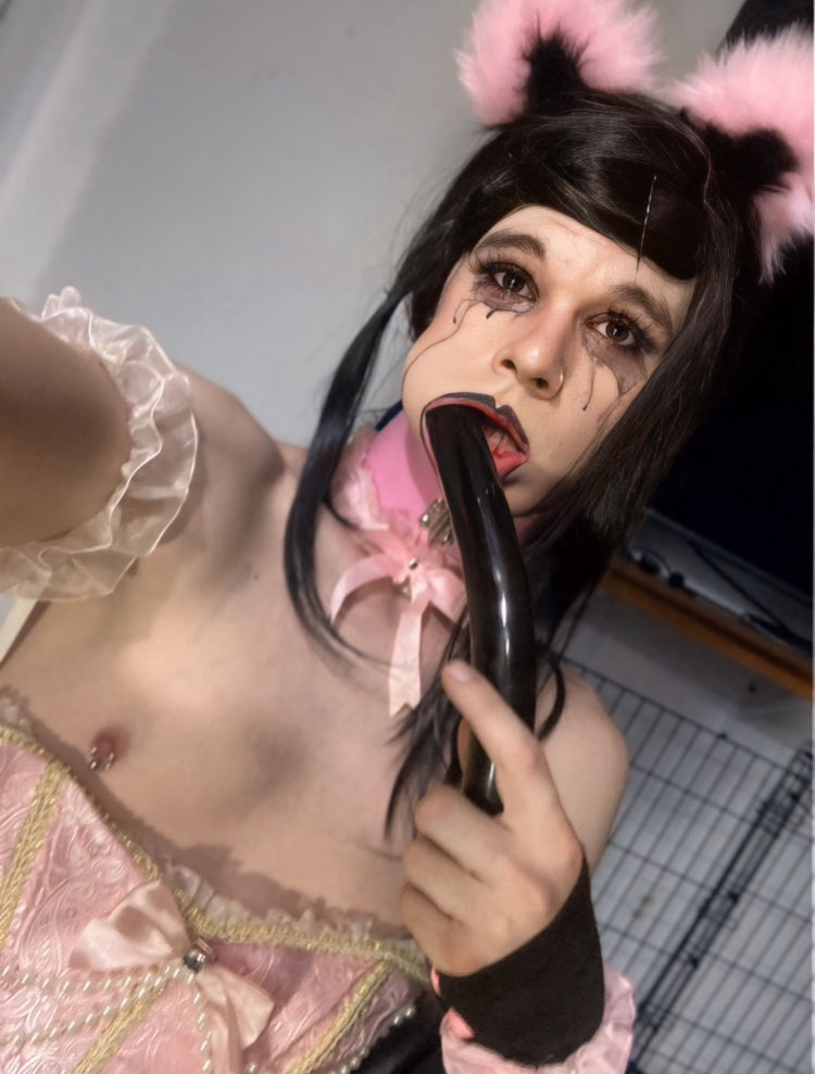 Kitten Evelyn tweet media