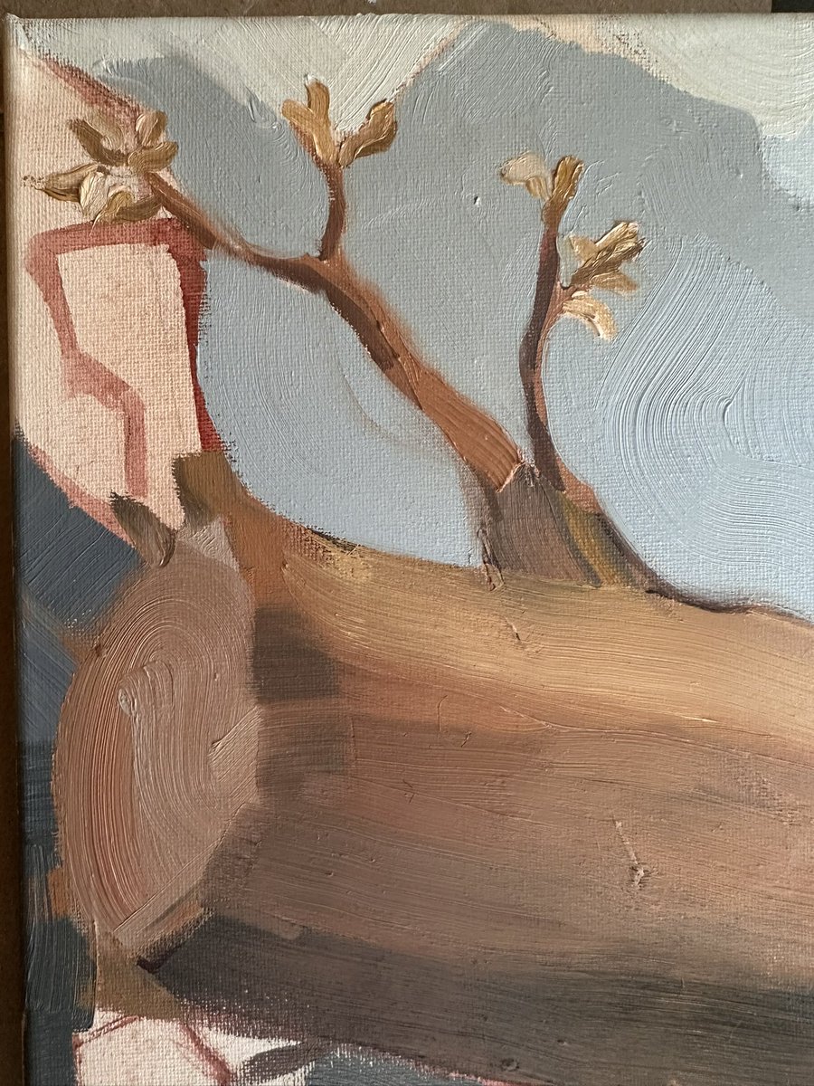 Tech Dumpling tweet media