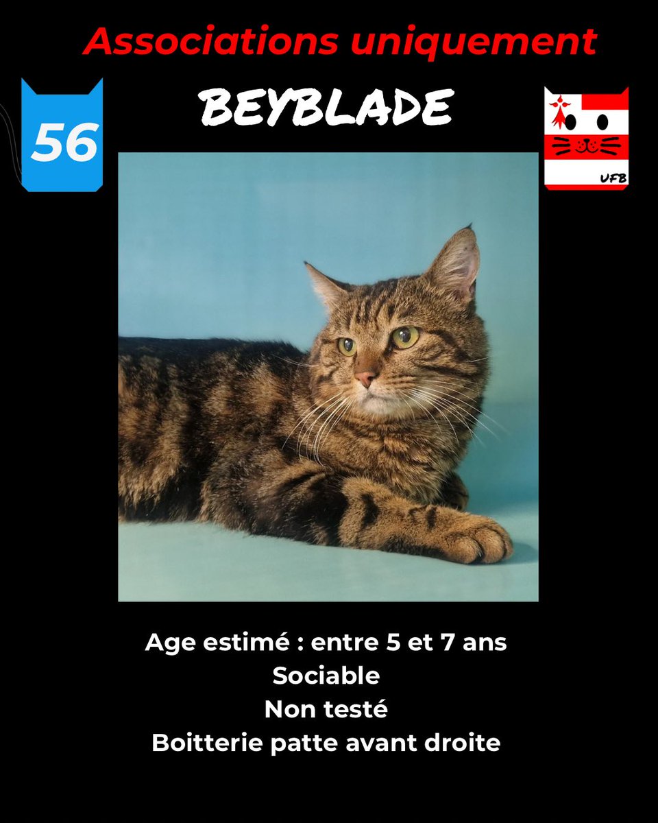 justine44 tweet media