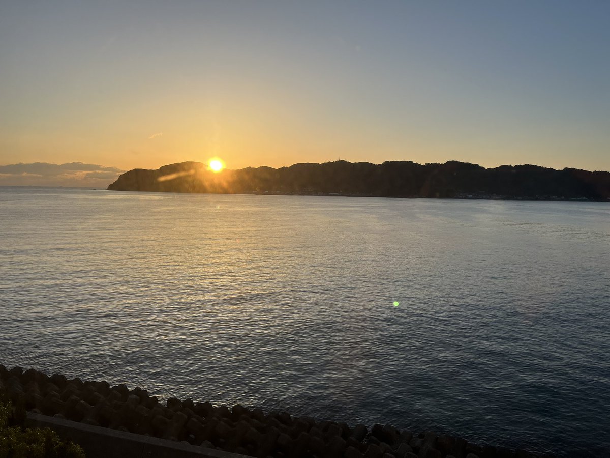 ねこさん tweet media