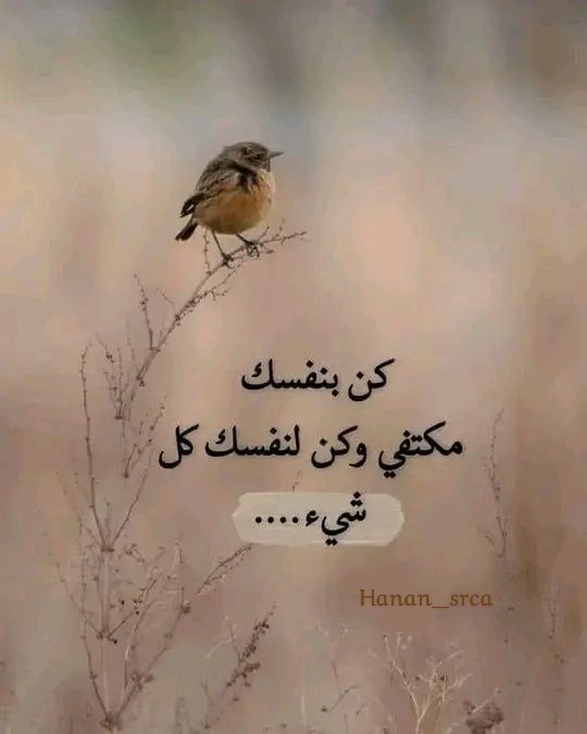 حنان العظامي tweet media