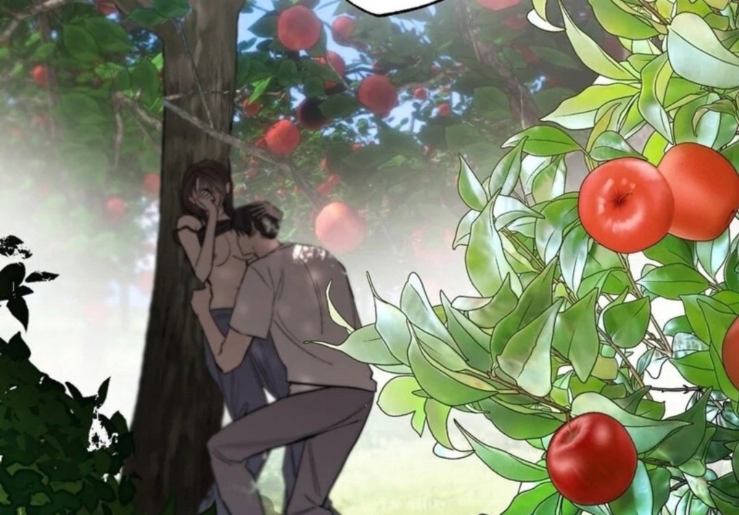 Very platonic things happening in public