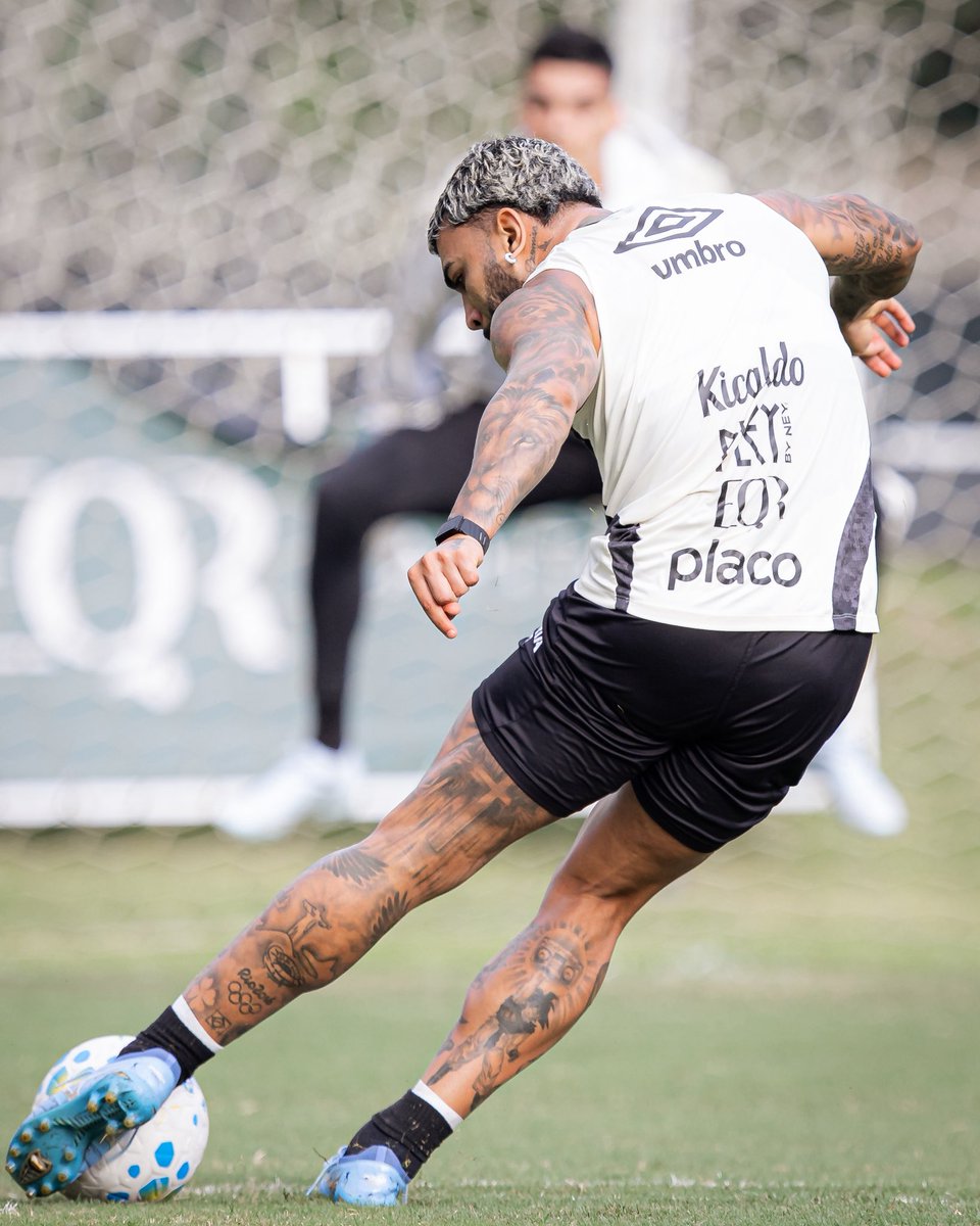 Gabriel B. tweet media