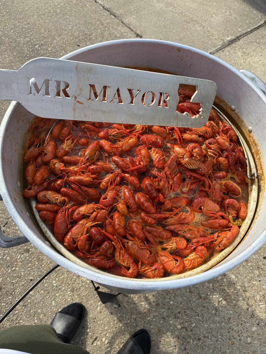 Mr. Mayor tweet media
