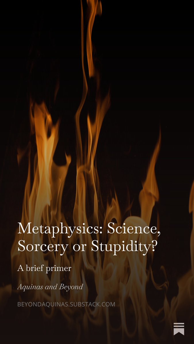 Alex Spieldenner tweet media