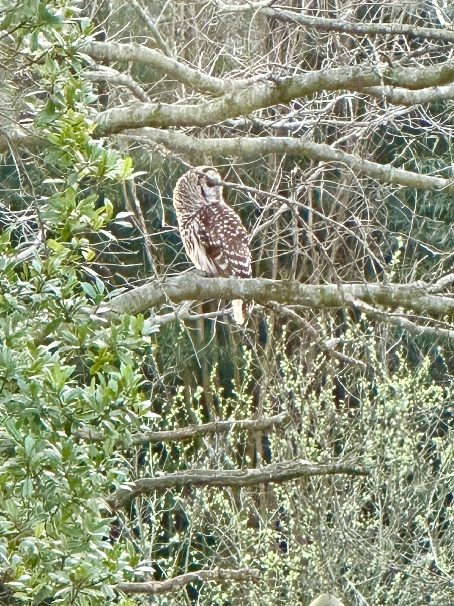 William Lee Golden tweet media