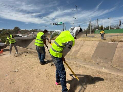 DMSP DGO tweet media