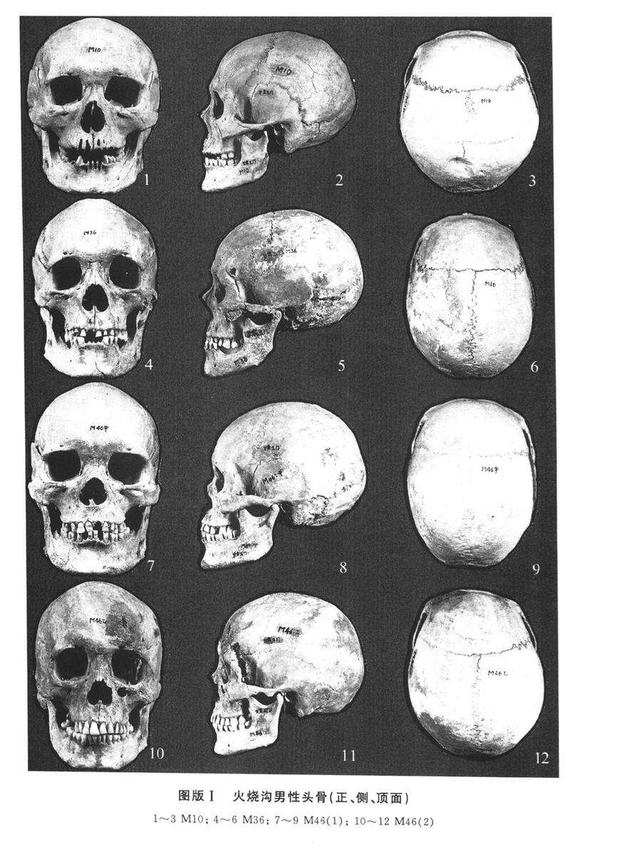 Bubregtard🔻 tweet media