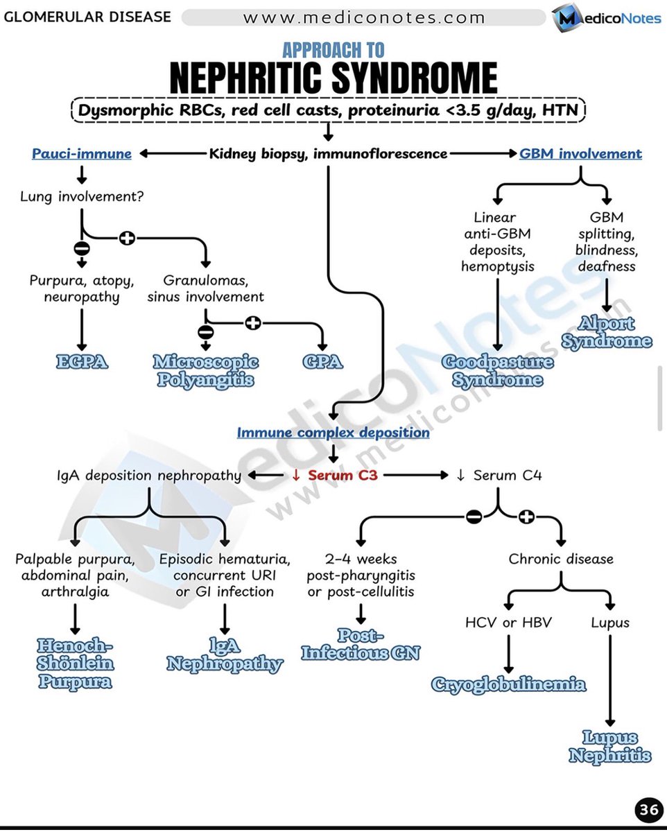 MedicoNotes tweet media