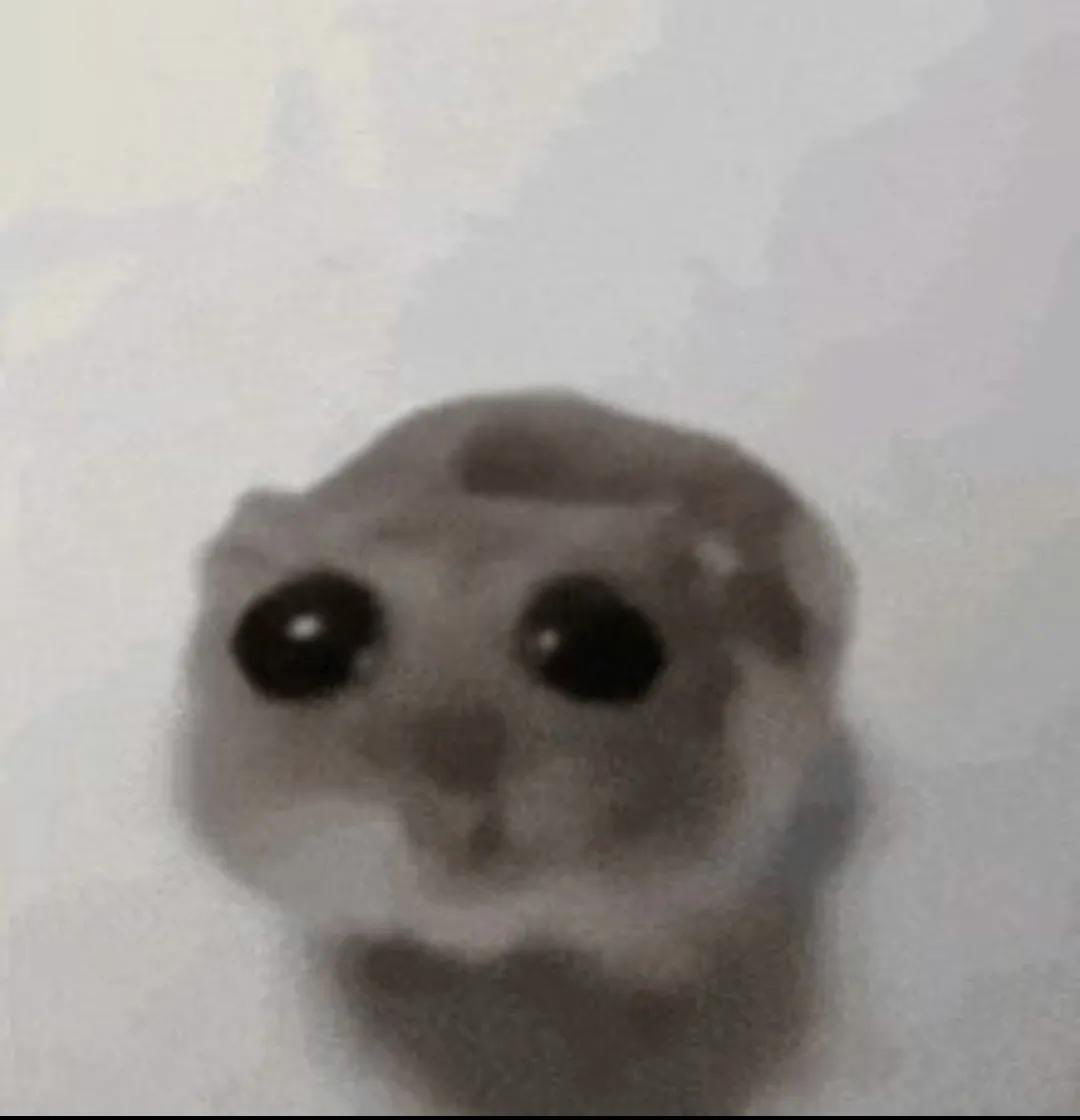 Tele_Takes's tweet photo. @destiny_thememe @BobNetworkUK How do I get my hands on this gif I beg https://t.co/ypbarUwcpR