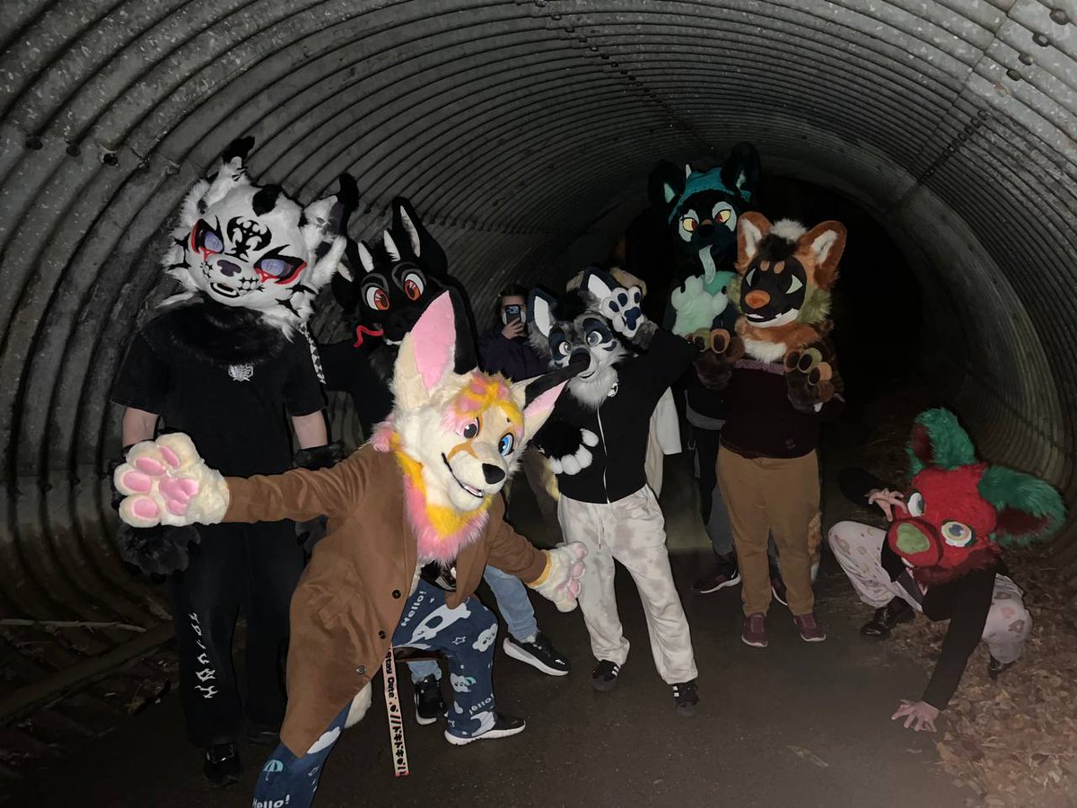 spatterlight 🔜 FTM tweet media