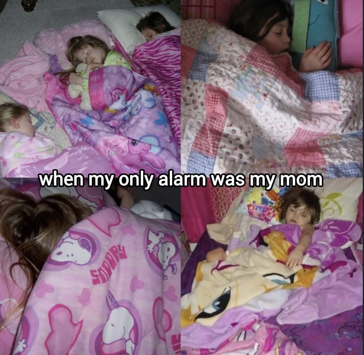 ❁✿❀ tweet media