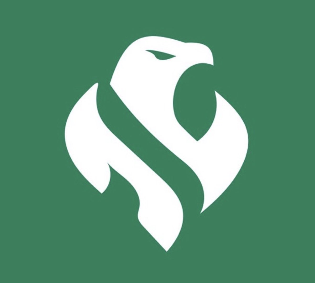 Falcon Abu Najd | ابو نجد tweet media