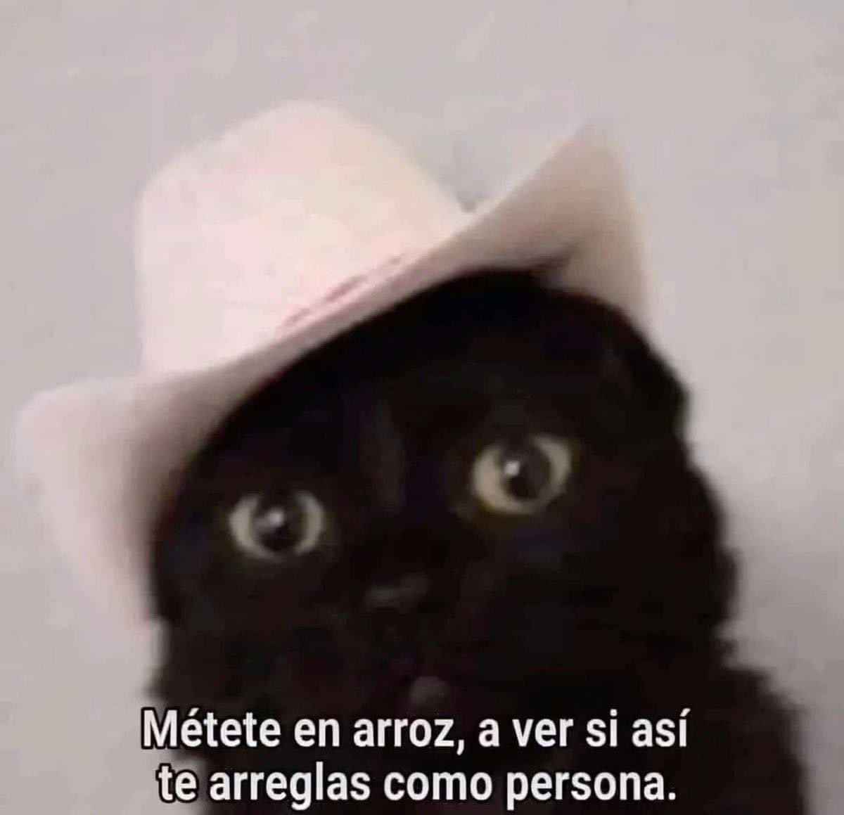 VlankaWick tweet media