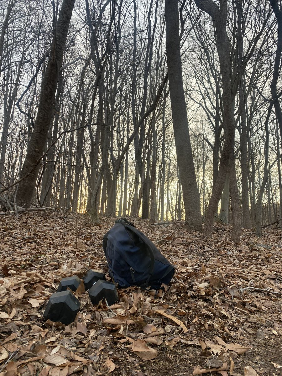 Oinktoshi 🟥🟨🟦 $BITCOIN tweet media