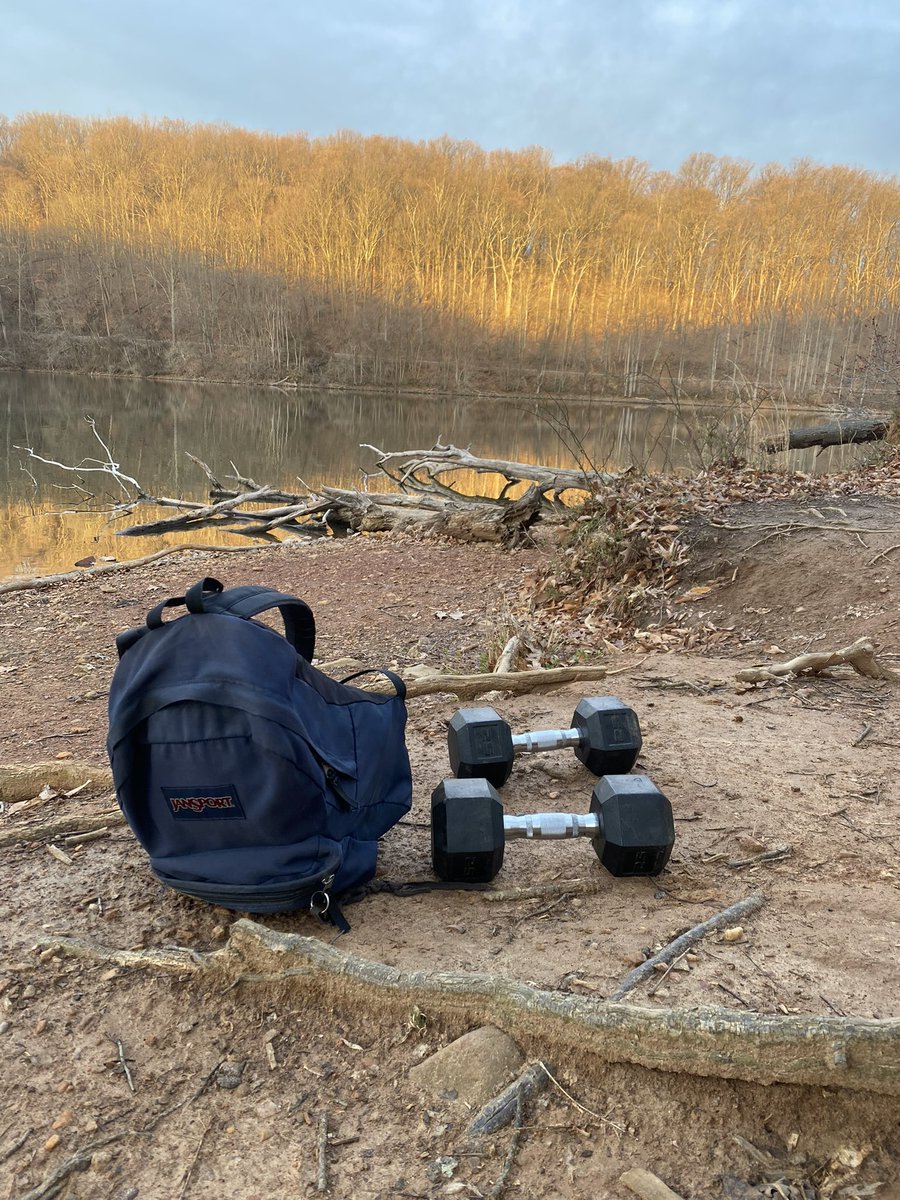 Oinktoshi 🟥🟨🟦 $BITCOIN tweet media