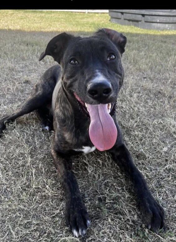 Olwyn Hope tweet media