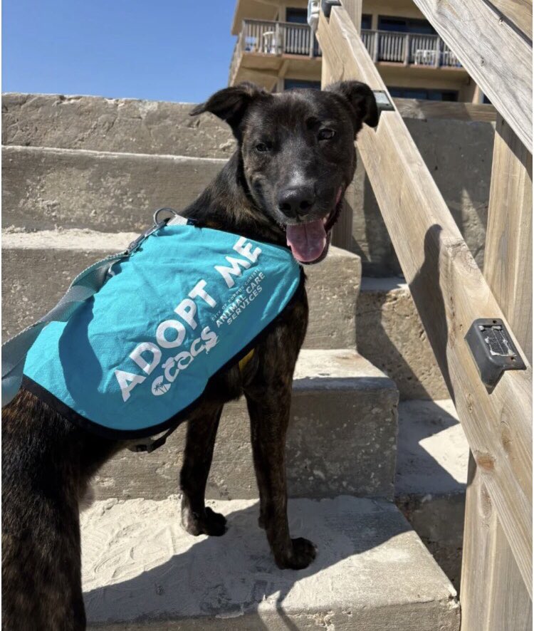 Olwyn Hope tweet media