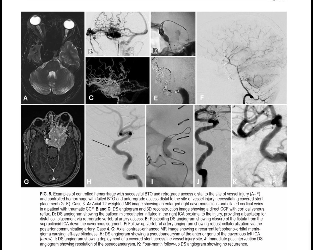 Evan Luther tweet media