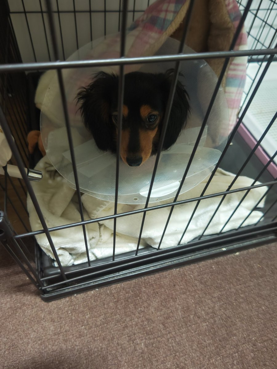 ひめ🌈乃秋🐶羽入🐶ママ☆Yukari tweet media