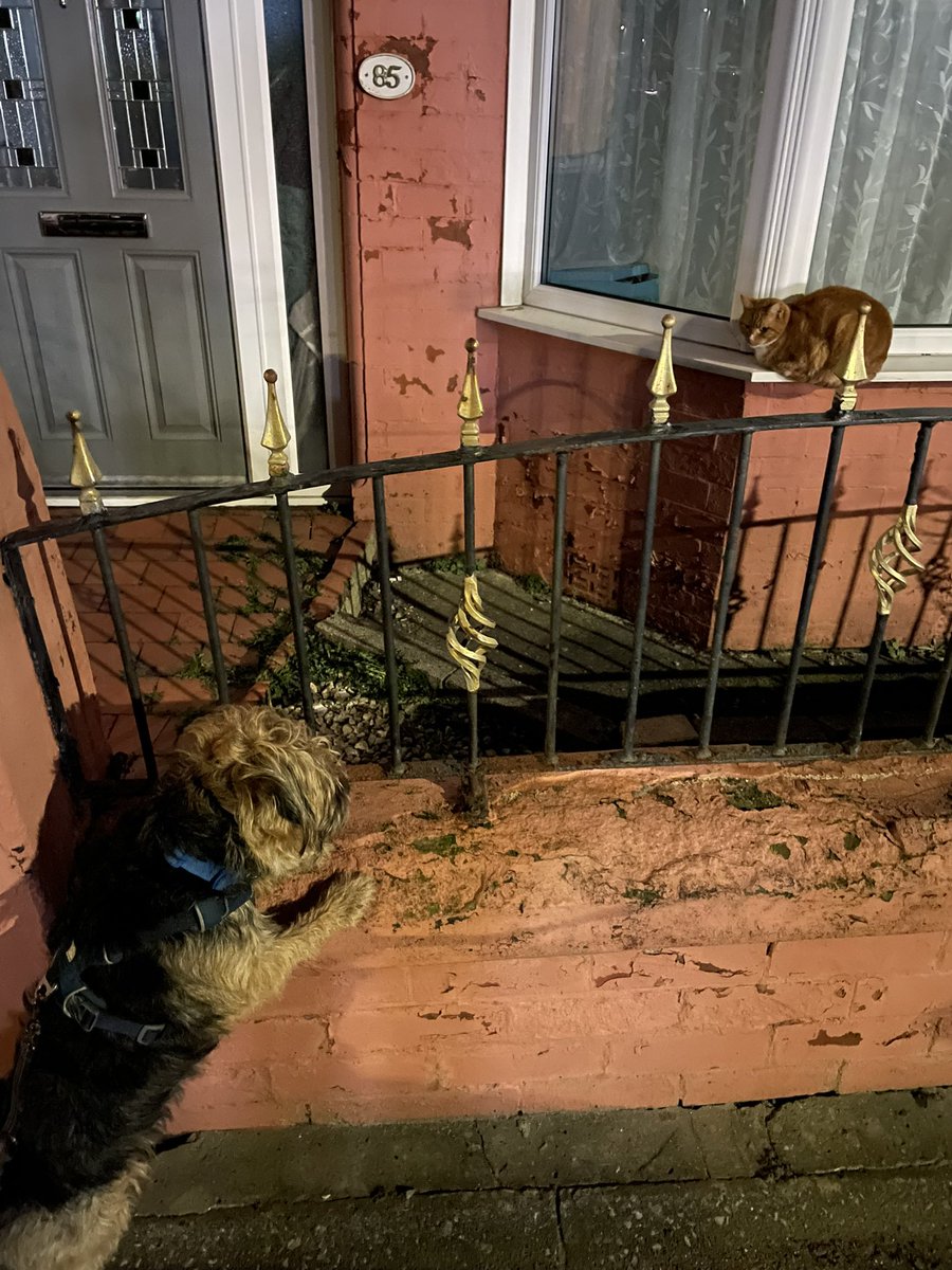 Didn’t meet a black cat last night but we met a ginger one tonight…#Benedict #BTPosse <a href="/revdlouisjj/">Louis Johnson</a>