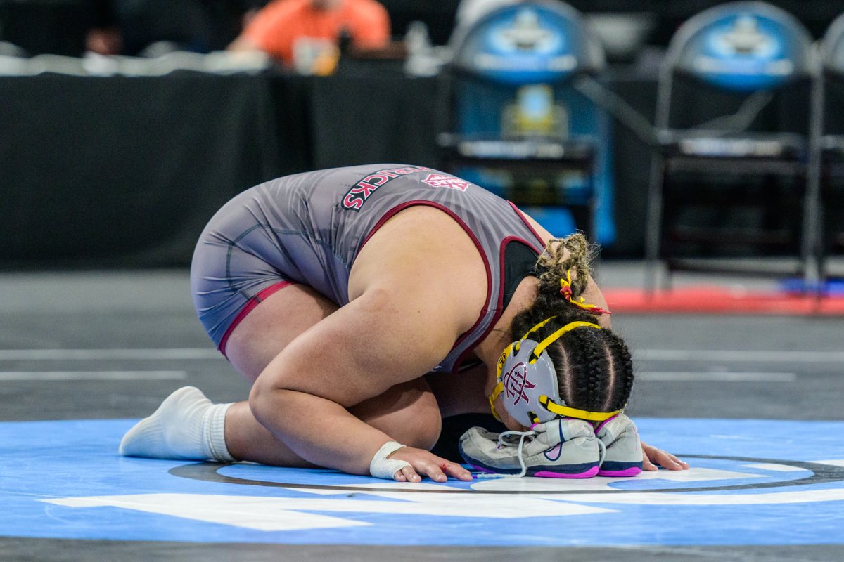 Tony Rotundo tweet media