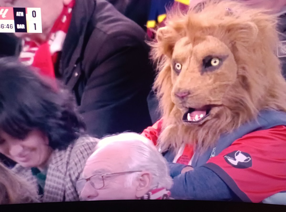 No podré con este tío, que se ve los partidos enteros con el león este puesto jhjjgj