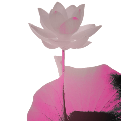 ᅠ ᅠ ᅠ ᅠ ᅠ ᅠ ‍‍ ࣪ troublemak͟e͟r. tweet media