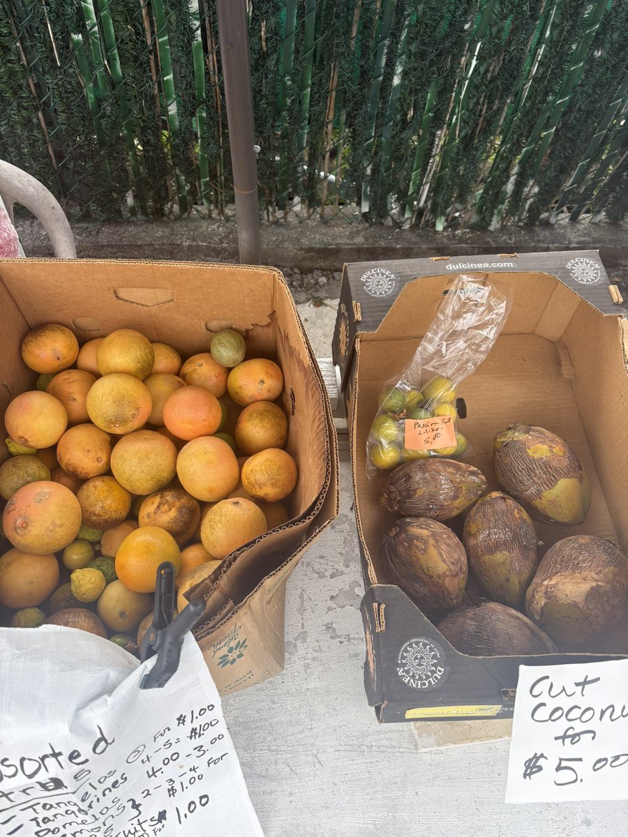 Jusreing's tweet photo. Super curioso que en Hawaii la gente es tan chill que tienen puestos en la calle (snakcs, frutas, etc) sin nadie atendiendo con una lista de precios y una hucha al lado y se fían de que la gente va a pagar.
Y lo más fuerte, se fían de que nadie va a robar la hucha con el dinero https://t.co/oFqM4Y5fXn