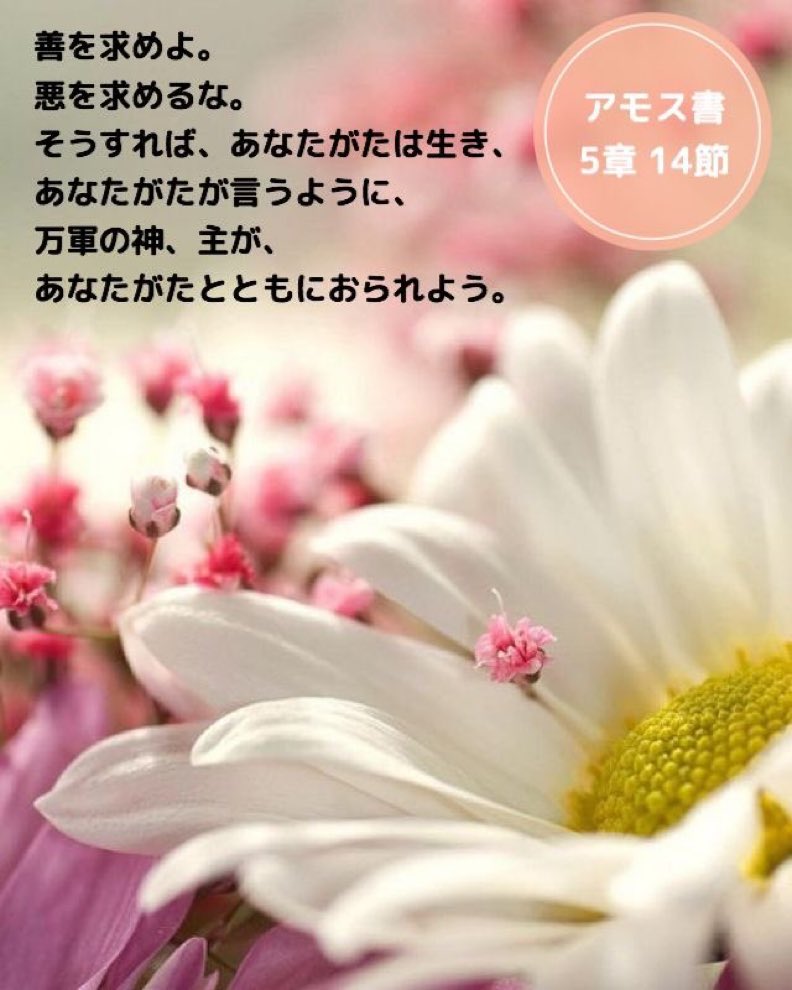 Love♡Jesus tweet media