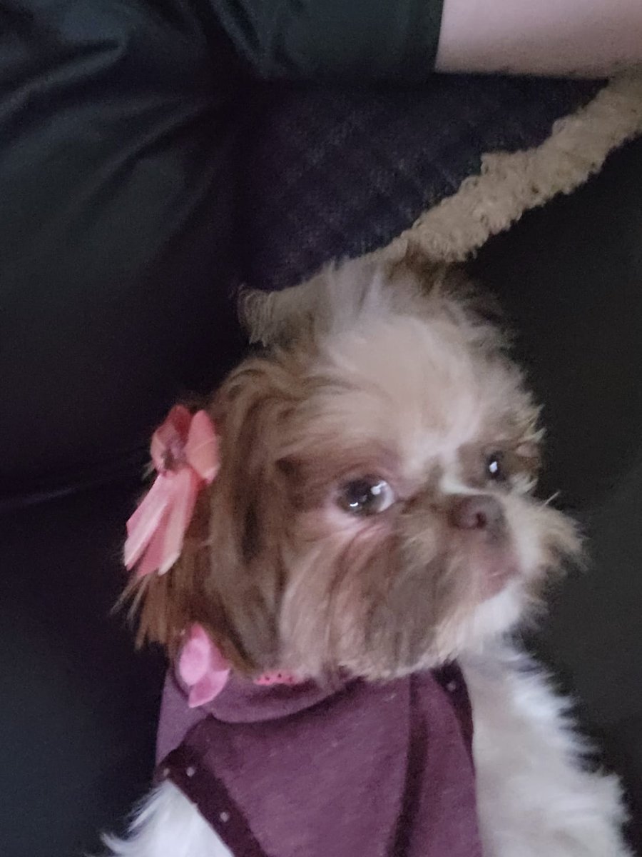 Eliza Drabecki tweet media