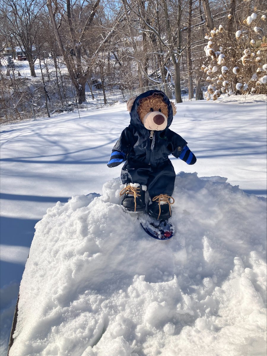 BearyGoodBlog's tweet photo. Announcing the medalists of the Stuffie Winter Olympics 2026...

https://t.co/WVNfHsx3P2 https://t.co/CIpKLgDRrM