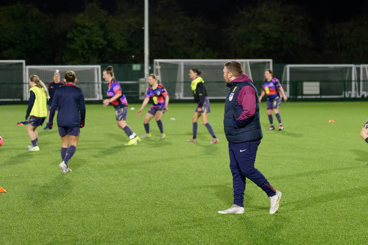 LionessesST tweet media
