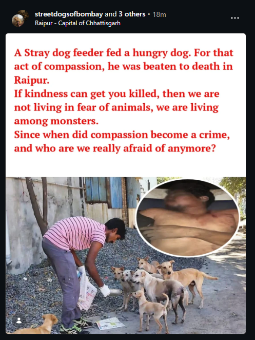 PhaedraXTeddy's tweet image. There are dog haters in #India 🇮🇳 currently doing whatever they feel like. The same doghaters geng r*pe dogs too and even killed a man for feeding a dog this year.
