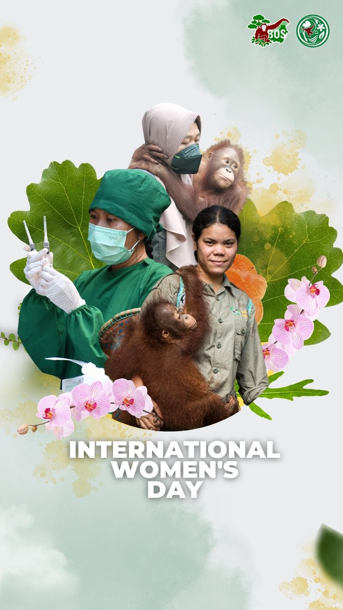 BOS Australia tweet media