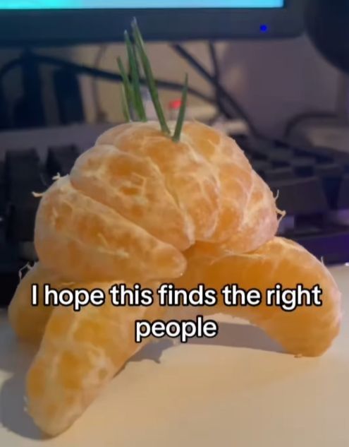 Internet Slop tweet media