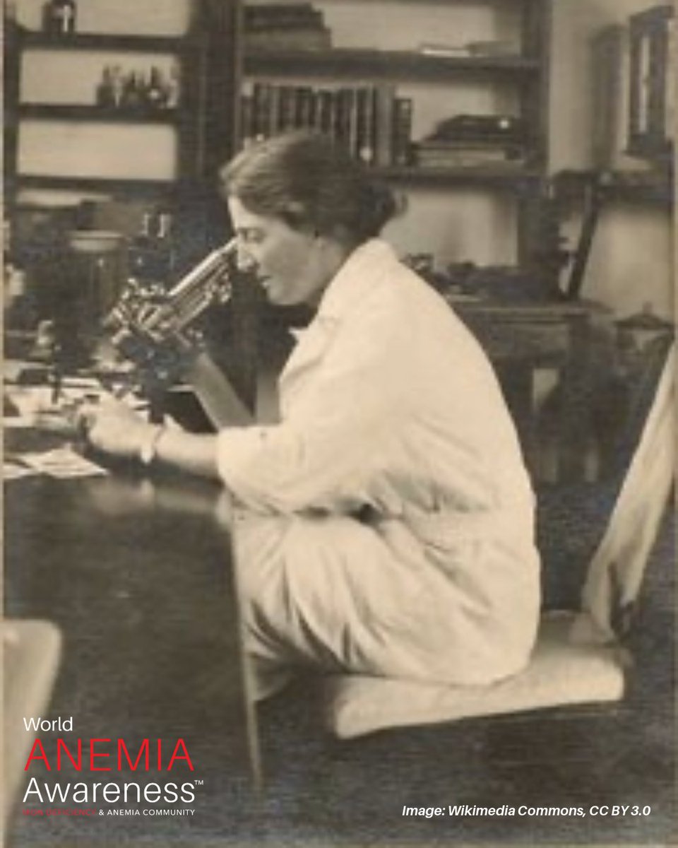 World Anemia Awareness tweet media