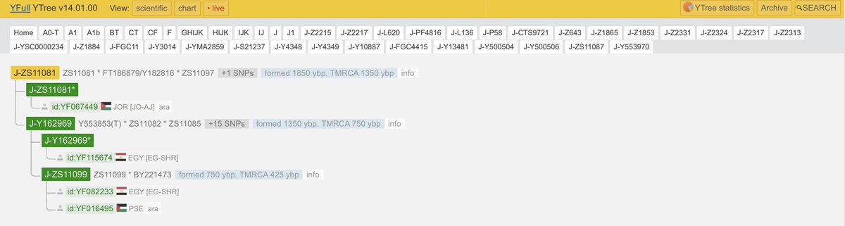 EgyptYDNA's tweet photo. 🇪🇬 ثلاث عينات مصرية من Y-DNA — J-ZS11080 (J-Y162969)
تكوّن: ~1350 سنة قبل الحاضر | السلف المشترك الأقرب (TMRCA): ~750 سنة قبل الحاضر
🧬 تفاصيل العينات
العينة 1
رقم العينة في FTDNA: IN135232
الاسم: Ibrahim El Tantawi
الدولة: مصر
السلالة الأبوية: J-ZS11080
ويُشار إليها في YFull باسم J-Y162969
الاختبار: Big Y-700
روابط Y-DNA
https://t.co/ZrLRlSgeFm
https://t.co/hWCiGHxbZV
مسار الطفرات (SNP Path)
M304>M267>CTS12238>Z2217>L620>PF4832>L136>Z1874>CTS9721>PF4678>Z1865>Z1853>L862>PF4843>YSC0000235>PF4638>Z27715>YSC0000234>L858>FGC11>FGC7638>FGC1722>FGC1720>FGC1723>FGC1695>FGC4415>FGC4422>FT350914>ZS11083>ZS11081>ZS11080
العينة 2
معرّف YFull: YF115674
الدولة: مصر
المنطقة: Ash Sharqīyah
السلالة الأبوية: J-ZS11080
ويُشار إليها في YFull باسم J-Y162969
السلالة الأمومية: N1a3a3
الاختبار: YSEQ
روابط Y-DNA
https://t.co/ZrLRlSgeFm
https://t.co/hWCiGHxbZV
روابط mtDNA
https://t.co/i4ygQ2dqJZ
https://t.co/dXdA5qK3C3
مسار الطفرات (SNP Path)
M304>M267>CTS12238>Z2217>L620>PF4832>L136>Z1874>CTS9721>PF4678>Z1865>Z1853>L862>PF4843>YSC0000235>PF4638>Z27715>YSC0000234>L858>FGC11>FGC7638>FGC1722>FGC1720>FGC1723>FGC1695>FGC4415>FGC4422>FT350914>ZS11083>ZS11081>ZS11080
العينة 3
رقم العينة في FTDNA: BP20917
الاسم: Al Munsor Al Sakr
الدولة: مصر
المنطقة: Ash Sharqīyah
السلالة الأبوية: J-ZS11099
وهو فرع متفرع من ZS11080
تكوّن: ~750 سنة قبل الحاضر | TMRCA: ~425 سنة قبل الحاضر
الاختبار: Big Y-700
معرّف YFull: YF082233
روابط Y-DNA
https://t.co/UsXZtQufD1
https://t.co/Mf2ifVOdoh
مسار الطفرات (SNP Path)
M304>M267>CTS12238>Z2217>L620>PF4832>L136>Z1874>CTS9721>PF4678>Z1865>Z1853>L862>PF4843>YSC0000235>PF4638>Z27715>YSC0000234>L858>FGC11>FGC7638>FGC1722>FGC1720>FGC1723>FGC1695>FGC4415>FGC4422>FT350914>ZS11083>ZS11081>ZS11080>ZS11099
🗺 ملاحظة الخريطة
المسارات الظاهرة في الخرائط الجينية هي مسارات توضيحية تقريبية.
وهي تمثل بنية التفرعات الجينية ولا تعني بالضرورة مسارات هجرة تاريخية دقيقة.
تم نشر هذا المنشور بالتعاون مع مشروع Y-DNA السوري @DNASyria.
#ZS11080 #Y162969 #ZS11099 #FGC4422 #FGC1695 #M267 #PopulationGenetics #YDNA #FTDNA #YFull #Egypt #Sharqiyah