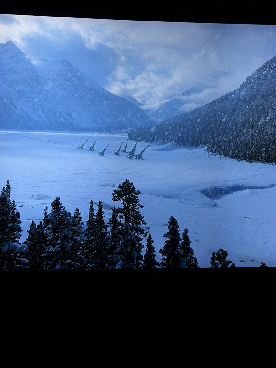 bigrobbo14 tweet media