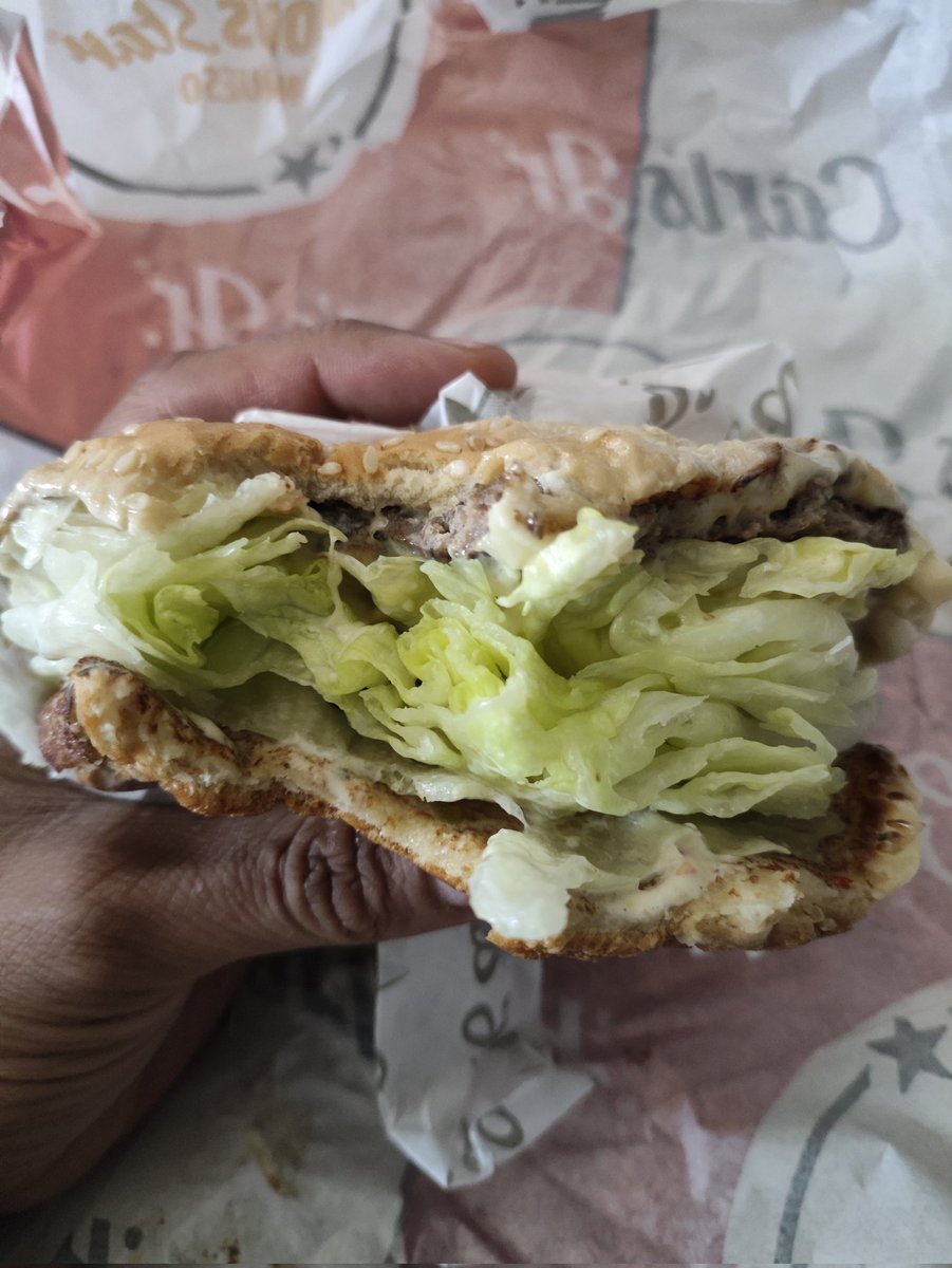 Parece que en <a href="/CarlsJrMx/">@CarlsJrMx</a> querían asegurarse de que comiera mis vegetales, pedí combo big boss doble, solo que en vez de doble carne me dieron doble lechuga