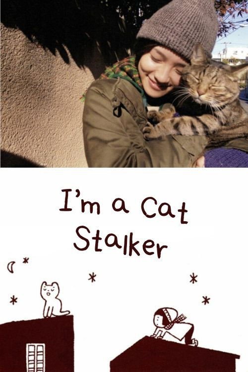 2000eletro36s's tweet photo. I’m a Cat Stalker (2009) 
私は猫ストーカー
Director: Takuji Suzuki
English Subtitles

https://t.co/TsF7iK6a2z https://t.co/OZ9AnSZr1Y