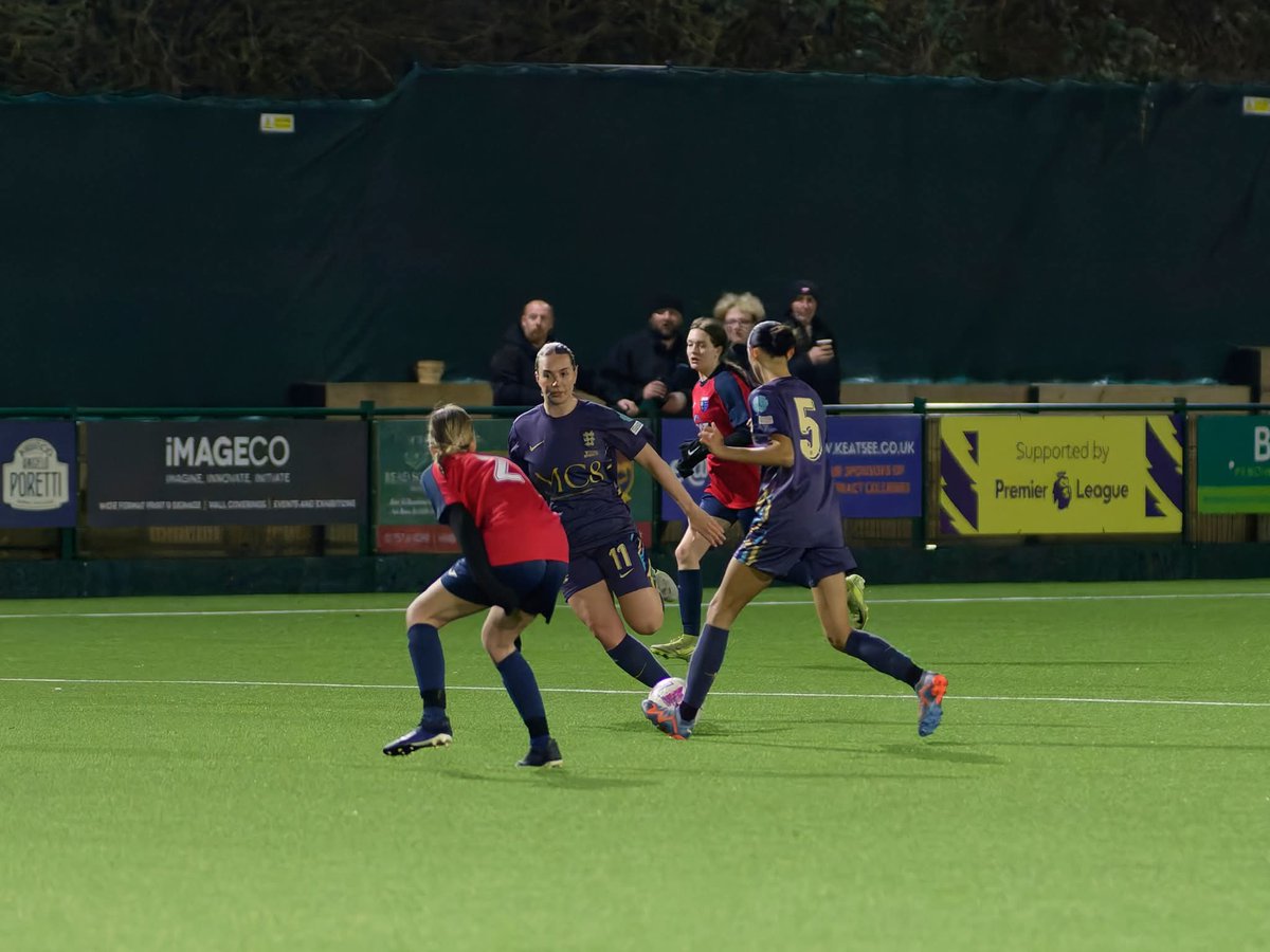 LionessesST tweet media
