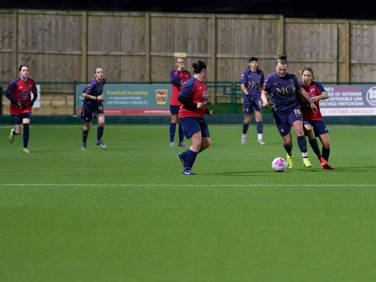 LionessesST tweet media